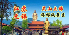 美女黄色禁区wwwww江苏无锡灵山大佛旅游风景区