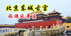 村上凉子性一区二区中国北京-东城古宫旅游风景区